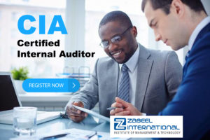 What is CIA and functions of Certified Internal Auditor?