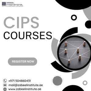 How many levels are there in the CIPS?