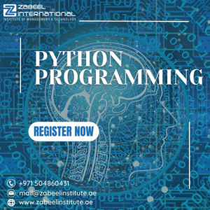 Can you run Python online compilers?
