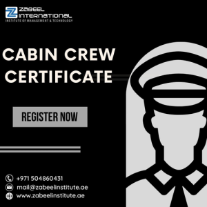 Air cabin crew courses