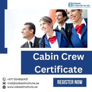 Cabin crew - What does the cabin crew do or roles?