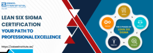 Lean Six Sigma certification