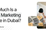 A bright, clean banner with a predominantly white background and a subtle diagonal line pattern on the left. The top left corner features the logo for Zabeel International Institute of Management & Technology. The main text on the left asks the question: "How Much Is a Digital Marketing Course in Dubai?". The words "Digital Marketing" are highlighted with a grey box. Below the text, the website "https://zabeelinstitute.ae/" is displayed.