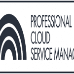 Professional Cloud Service Manager Training