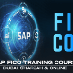 SAP Training course FICO