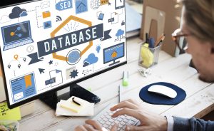 Database Management course in Dubai